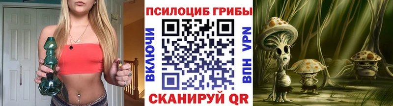 Псилоцибиновые грибы GOLDEN TEACHER  Озёрск 